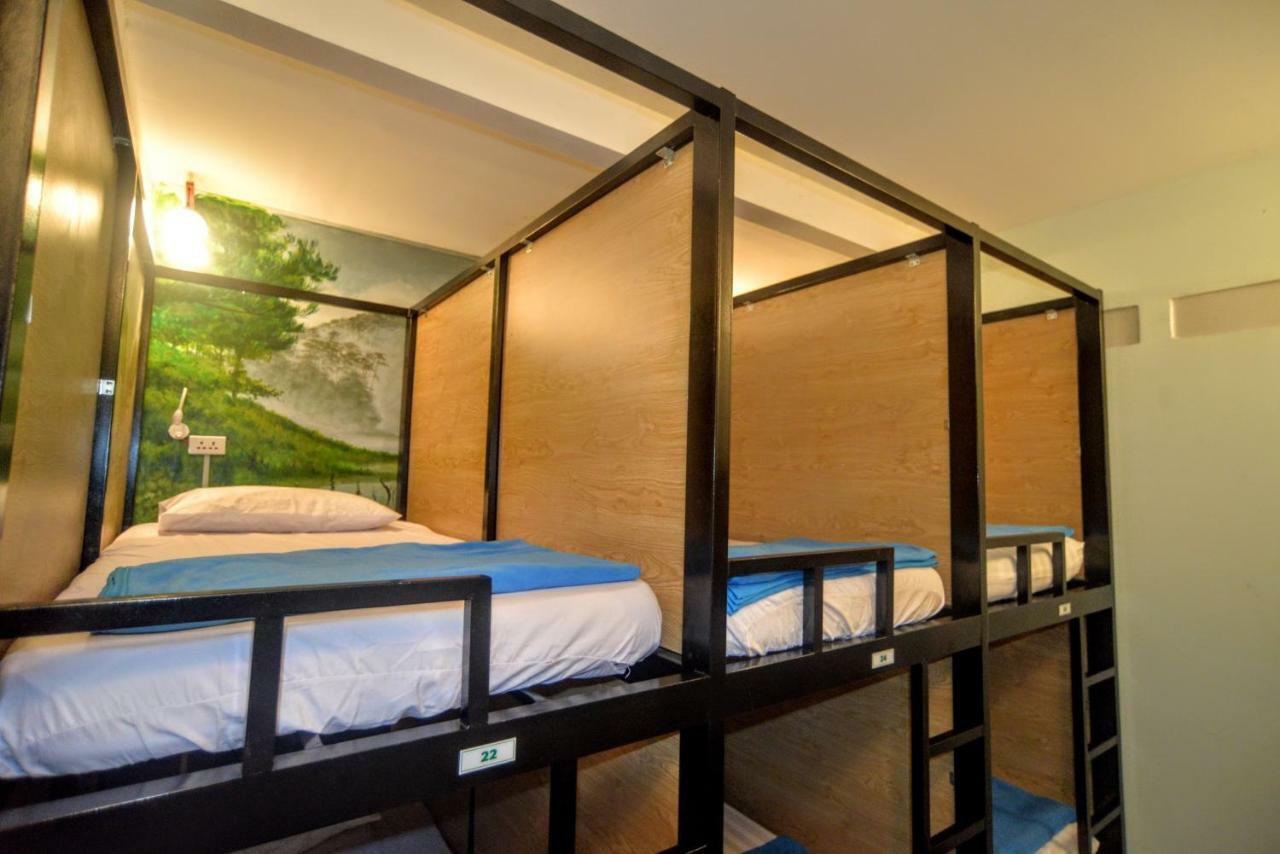 Jungle House Hostel