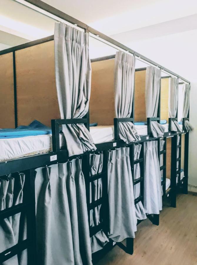Hostel Jungle House